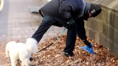 Zakon.kz, фото - Новости Zakon.kz от 18.11.2017 01:55
