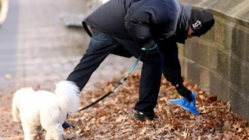 Алматинцев обяжут убирать за своими питомцами