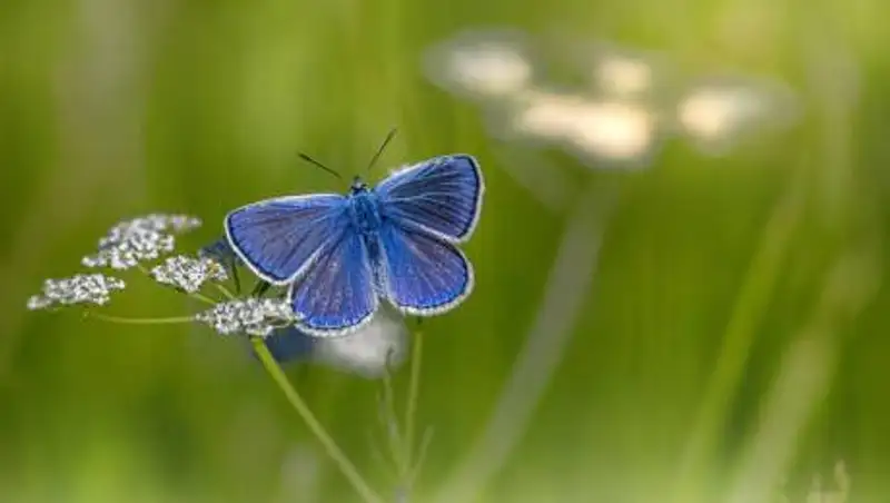 Какая погода ожидает казахстанцев в августе