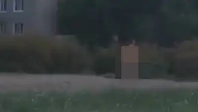 Zakon.kz, фото - Новости Zakon.kz от 22.07.2017 13:05