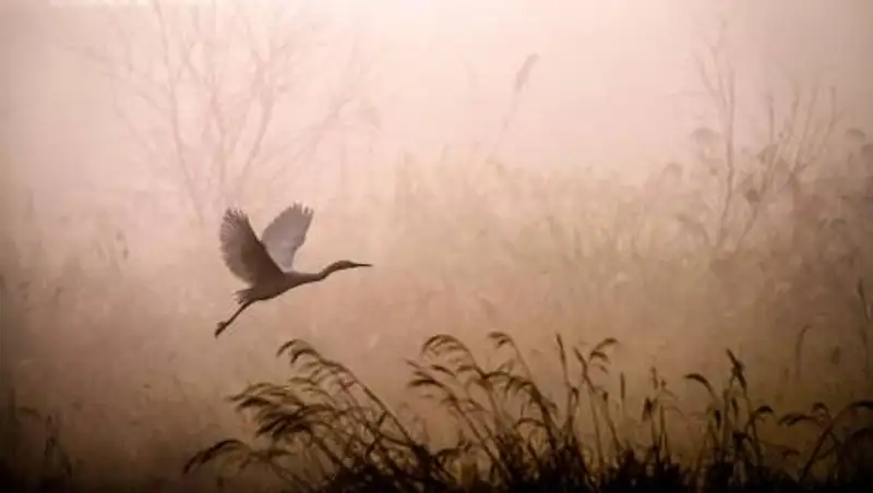 Штормовые предупреждения объявлены в четырех областях Казахстана