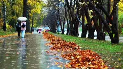 Zakon.kz, фото - Новости Zakon.kz от 31.08.2017 16:07