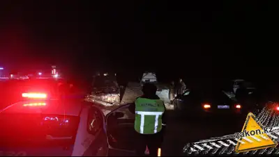 zakon.kz., фото - Новости Zakon.kz от 19.01.2020 10:24