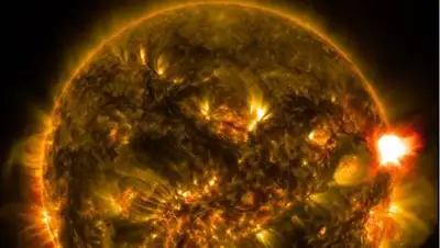 pxhere.com, фото - Новости Zakon.kz от 31.08.2021 11:41