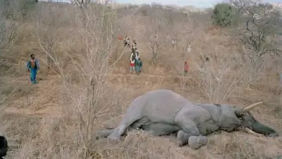 glas.ru, фото - Новости Zakon.kz от 29.09.2020 06:40