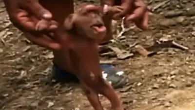 Zakon.kz, фото - Новости Zakon.kz от 22.08.2017 09:25