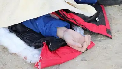 Zakon.kz, фото - Новости Zakon.kz от 02.02.2015 01:51