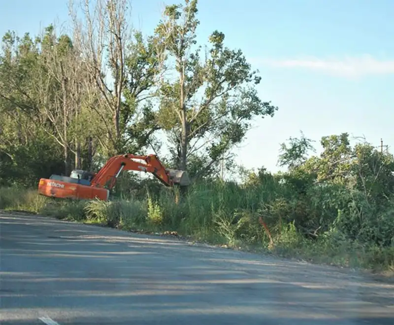 Активисты призвали общественность остановить вырубку деревьев на трассе Алматы-Капшагай, фото - Новости Zakon.kz от 30.07.2013 20:14