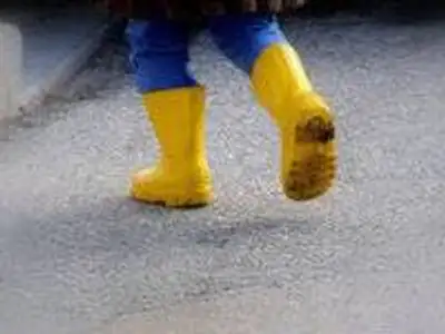 Zakon.kz, фото - Новости Zakon.kz от 23.12.2011 17:33