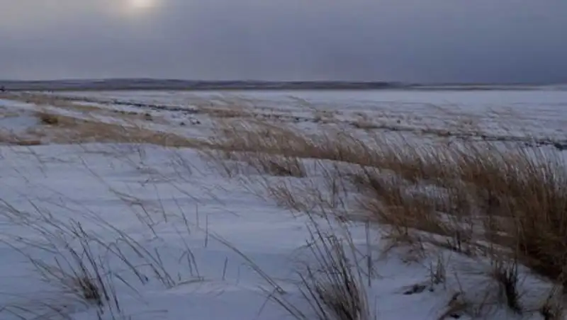 Мать оставила детей в степи в Атырау