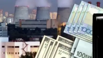 Zakon.kz, фото - Новости Zakon.kz от 03.02.2017 18:44