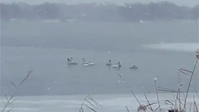 Zakon.kz, фото - Новости Zakon.kz от 21.11.2016 19:45