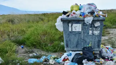 pixabay.com, фото - Новости Zakon.kz от 08.10.2019 08:35