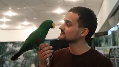 Zakon.kz, фото - Новости Zakon.kz от 23.11.2013 19:26