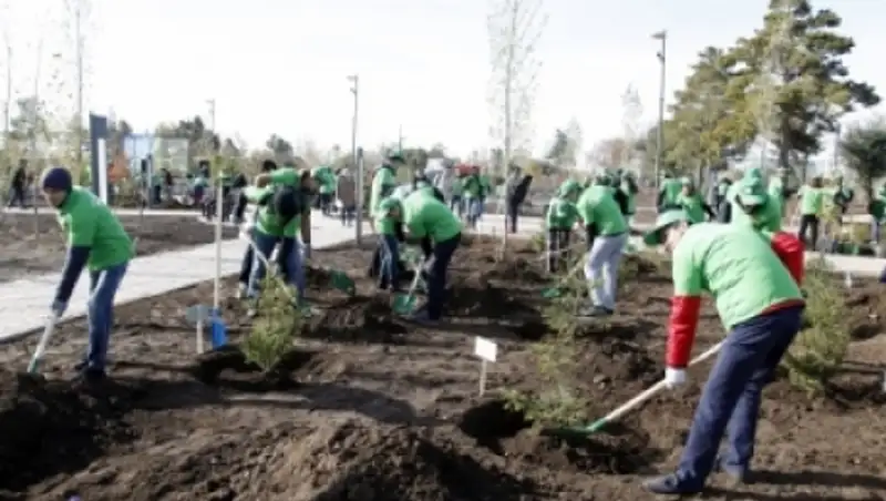 Көктемде Алматыда апта сайын сенбілік өтеді