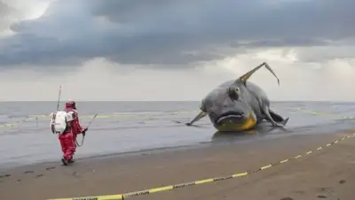 Zakon.kz, фото - Новости Zakon.kz от 06.03.2017 22:10