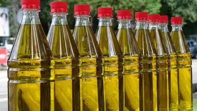 Valencia Fruits, фото - Новости Zakon.kz от 15.02.2021 22:57