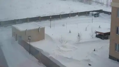 zakon.kz, фото - Новости Zakon.kz от 11.02.2020 14:50