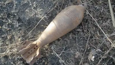 Zakon.kz, фото - Новости Zakon.kz от 04.03.2016 22:01