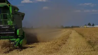 pixabay.com, фото - Новости Zakon.kz от 31.01.2019 17:29