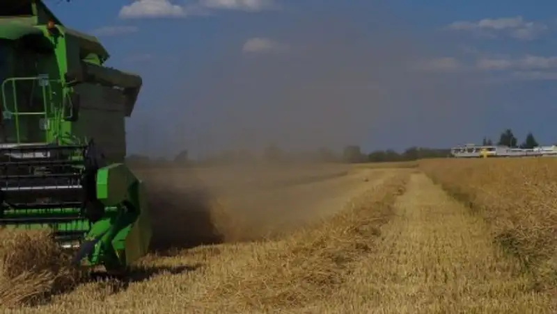 Диверсификация в сельском хозяйстве: чего ждать фермерам