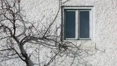 pixabay.com, фото - Новости Zakon.kz от 03.09.2021 16:32