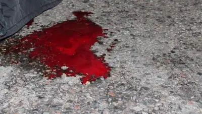 Zakon.kz, фото - Новости Zakon.kz от 24.07.2017 17:37