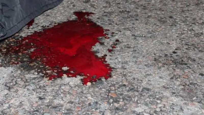 На трассе Талдыкорган-Текели 77-летний водитель сбил двух пешеходов, один из них погиб