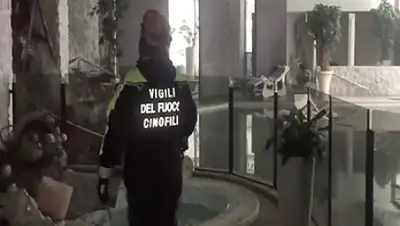 Zakon.kz, фото - Новости Zakon.kz от 21.01.2017 01:14