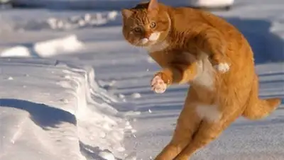 Zakon.kz, фото - Новости Zakon.kz от 07.09.2016 17:26