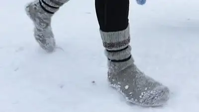 yle.fi, фото - Новости Zakon.kz от 27.11.2019 10:09