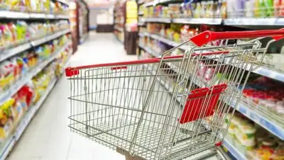 ЯСИА, фото - Новости Zakon.kz от 06.04.2018 21:09