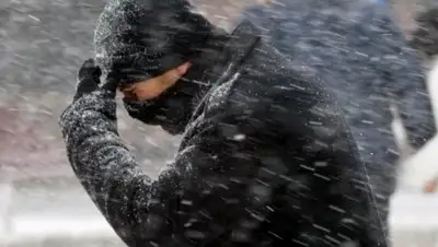 из открытых источников, фото - Новости Zakon.kz от 24.11.2018 21:50