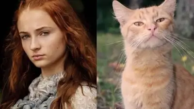 Zakon.kz, фото - Новости Zakon.kz от 03.03.2015 16:26