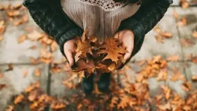 Zakon.kz, фото - Новости Zakon.kz от 22.10.2017 06:02