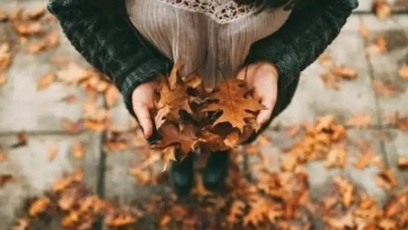 Погода без осадков ожидается в воскресенье лишь на юге и юго-востоке РК