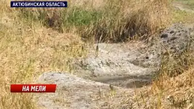 Скриншот видео, фото - Новости Zakon.kz от 17.09.2020 09:23