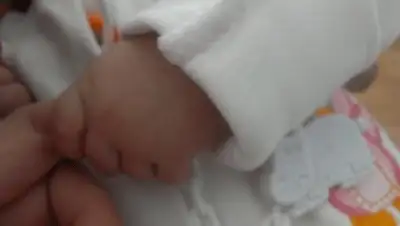 Zakon.kz, фото - Новости Zakon.kz от 09.11.2013 01:13