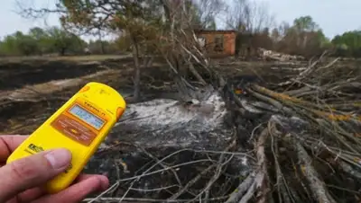 EPA/UPG, фото - Новости Zakon.kz от 05.04.2020 17:56