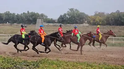 национальный спорт, байга развитие спорта в Казахстане