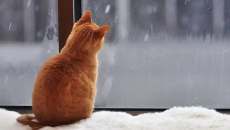 8 марта во многих регионах страны ожидаются метели