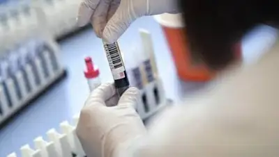 interaffairs.ru, фото - Новости Zakon.kz от 01.10.2020 08:17