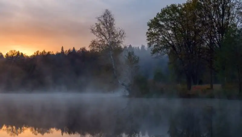 Переход дождя в снег, туманы ожидают северян