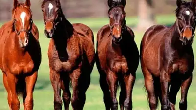 Zakon.kz, фото - Новости Zakon.kz от 02.09.2015 03:06