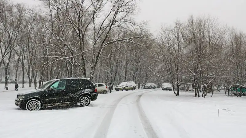 На красивые номера для авто казахстанцы потратили 6 млрд тенге