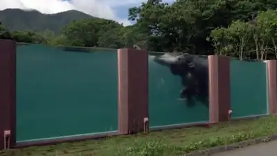 Zakon.kz, фото - Новости Zakon.kz от 16.07.2015 22:16