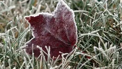 Zakon.kz, фото - Новости Zakon.kz от 20.09.2017 17:39