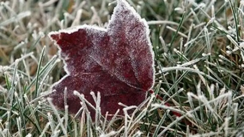 Синоптики предупредили казахстанцев о снеге и заморозках