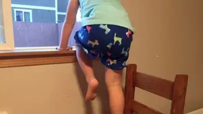 Zakon.kz, фото - Новости Zakon.kz от 23.08.2017 12:32