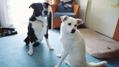 Zakon.kz, фото - Новости Zakon.kz от 05.06.2016 07:14